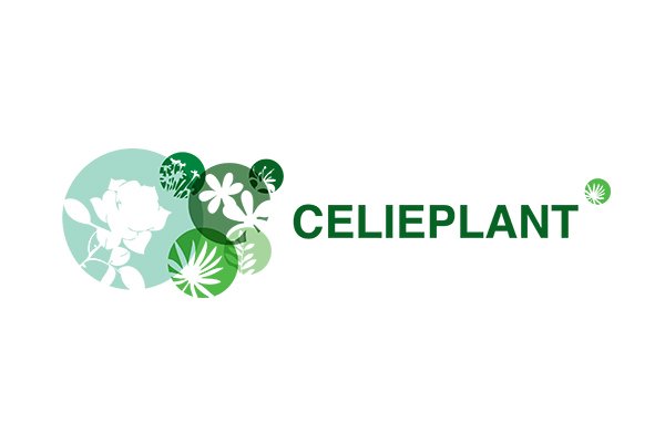 celieplant-green-park-aalsmeer-schiphol