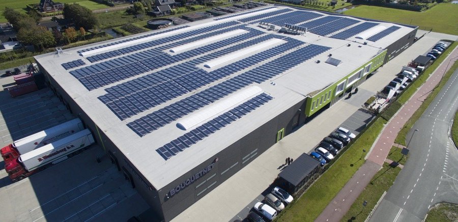 John Celie bevangen door een boeiend groenvirus